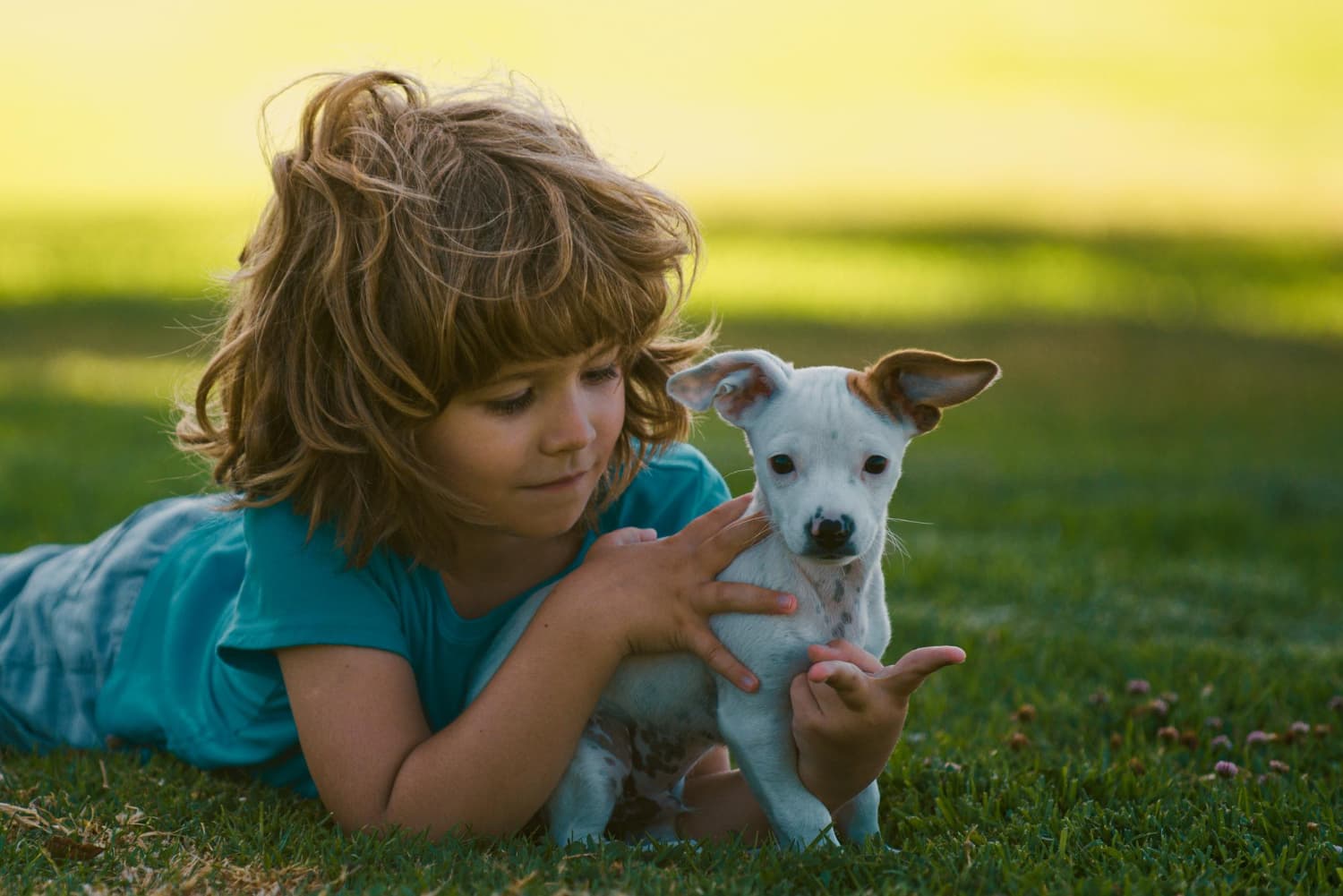 relación entre niños y perros