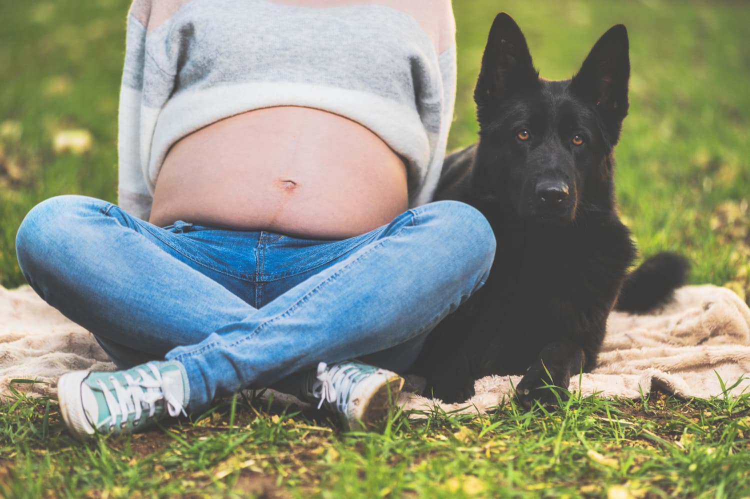 cómo ayuda un perro durante el embarazo